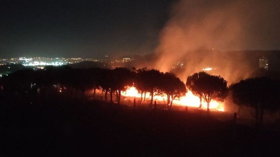 Maltepe'de ormanlık alanda yangın çıktı