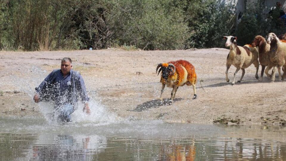 Denizli'de 8 asırlık gelenek