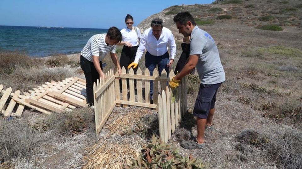 Etrafı çitlerle çevrilerek koruma altına alındı