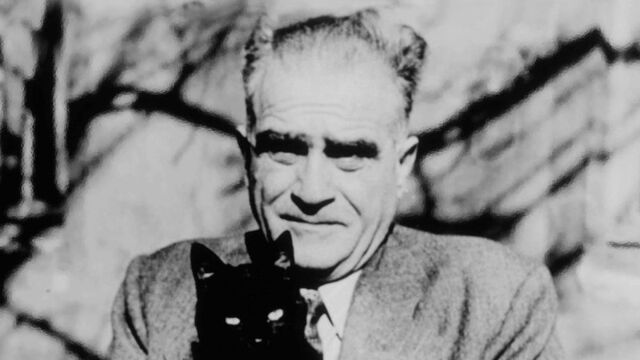 Tanpınar, 27 Mayıs darbesi ve s&uuml;k&ucirc;t suikasti