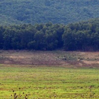 Trakya'da barajlar alarm veriyor!