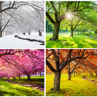 Mevsimlerin oluşumu