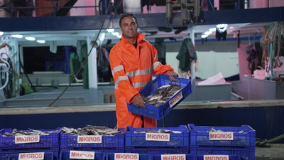 Migros 10 bin ton balık alacak