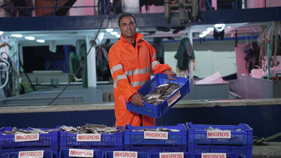 Migros 10 bin ton balık alacak