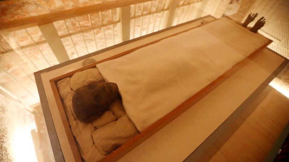 'Sonsuz yaşamın kokusu' tekrar üretildi