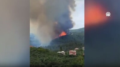 Bursa'daki orman yangını kontrol altında