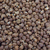 Tam bir kanser düşmanı çıktı!