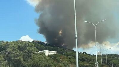 İstanbul Maltepe'de orman yangını!