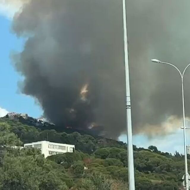  İstanbul Maltepe'de orman yangını!