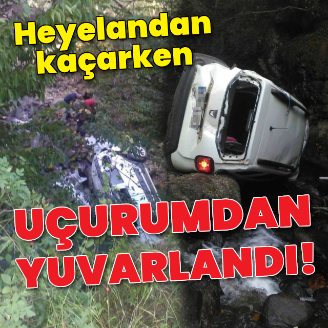 Heyelandan kaçarken uçurumdan yuvarlandı!