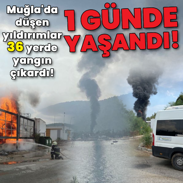 Muğla'da düşen yıldırımlar 36 yerde yangın çıkardı!
