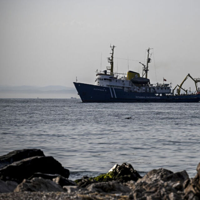  Yaz döneminin ilk bulguları ürküttü!