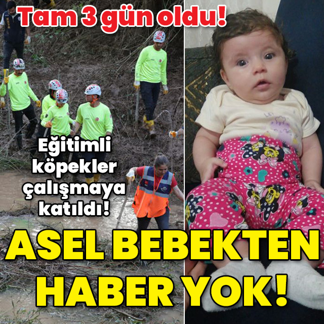 Eğitimli köpekler de aramaya katıldı! Asel bebekten haber yok!