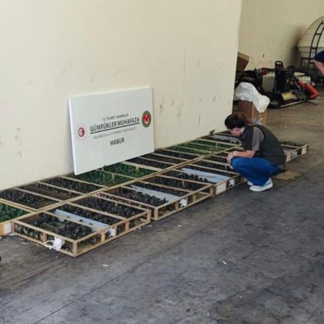  Habur'dan giriş yaptılar, 2.9 milyon TL cezayı yediler