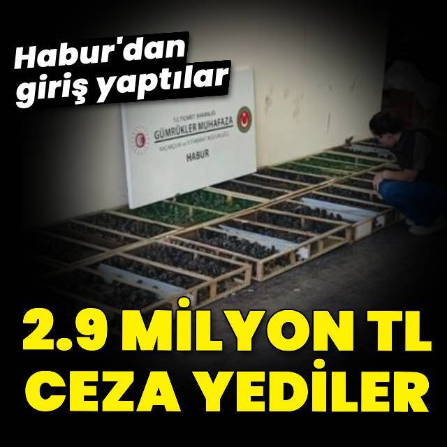 Habur'dan giriş yaptılar, 2.9 milyon TL cezayı yediler