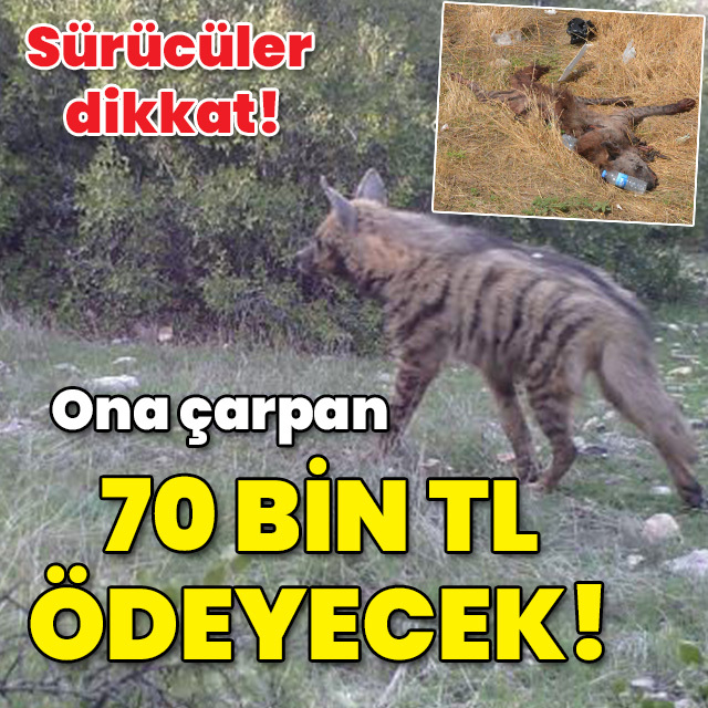 Sürücüler dikkat! Ona çarpan 70 bin TL ödeyecek!