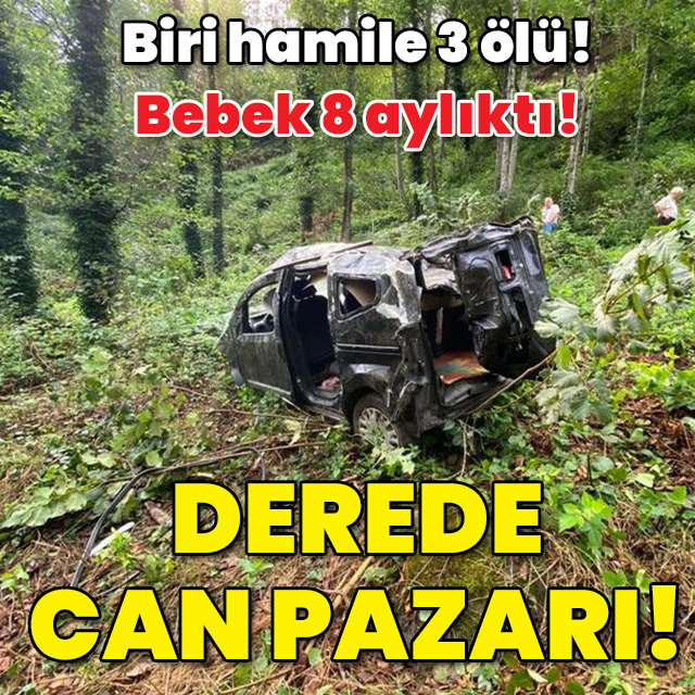 Biri hamile 3 ölü! Derede can pazarı!