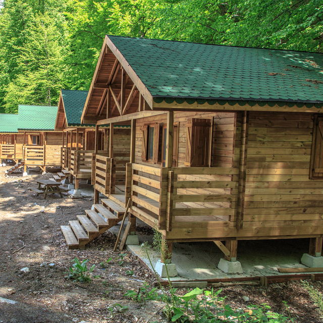  "Sınırlamalar net olarak ortaya koyulmalı"