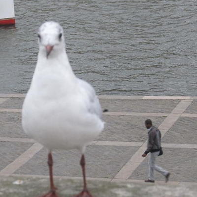  Perspektifin önemini anlatan 20 fotoğraf