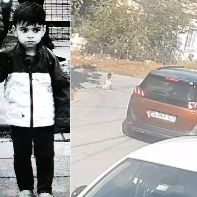  Daha 2 yaşındaydı! Kediyi seviyordu! Büyük acı!