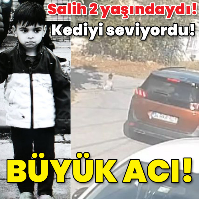 Daha 2 yaşındaydı! Kediyi seviyordu! Büyük acı!