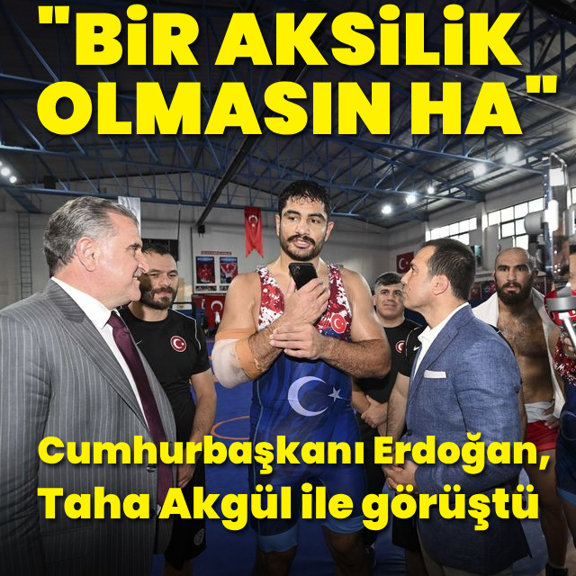 Cumhurbaşkanı Erdoğan, Akgül'le görüştü