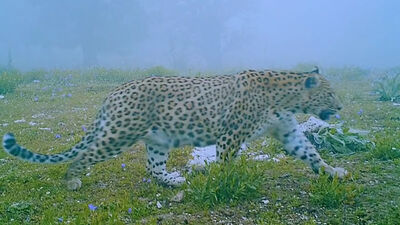 Anadolu'nun gizemli efsanesi görüntülendi