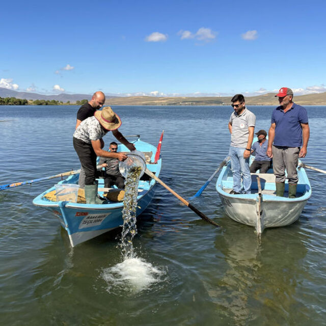  150 bin yavru, Çıldır'a bırakıldı