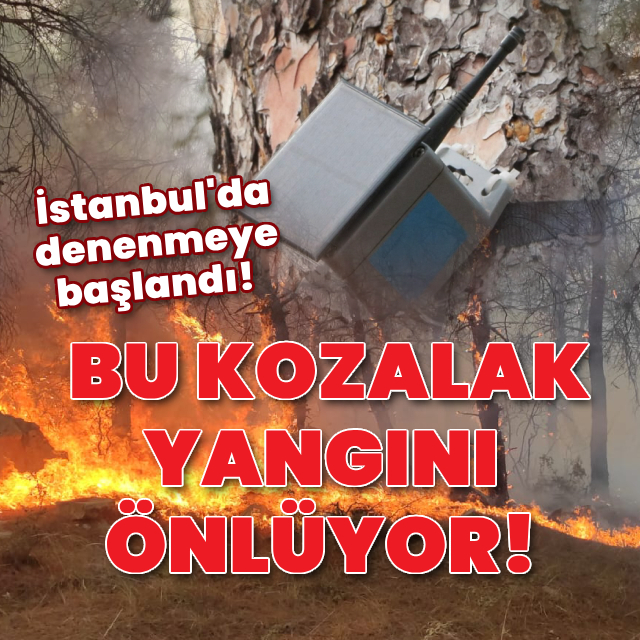 İstanbul'da denenmeye başlandı! Bu kozalak yangını önlüyor