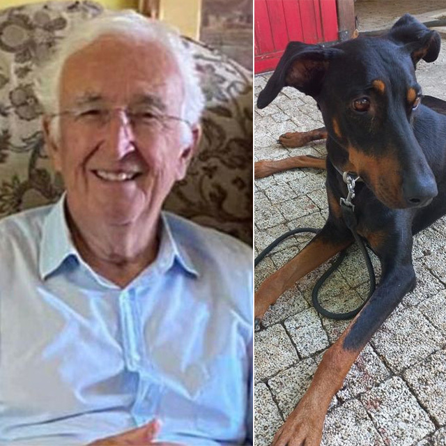  Korhan Berzeg'in köpeği Tina'nın tahlil sonucu çıktı!