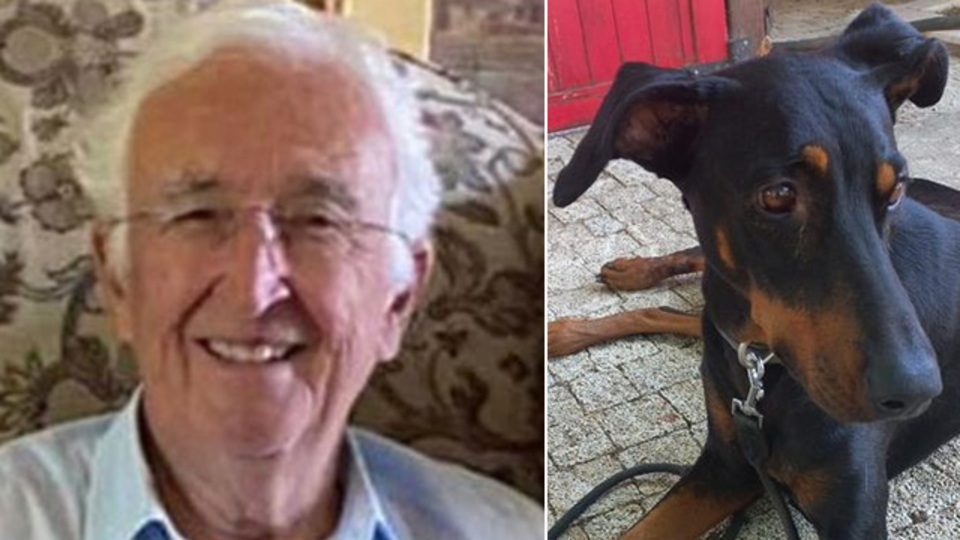 Korhan Berzeg'in köpeği Tina'nın tahlil sonucu çıktı!