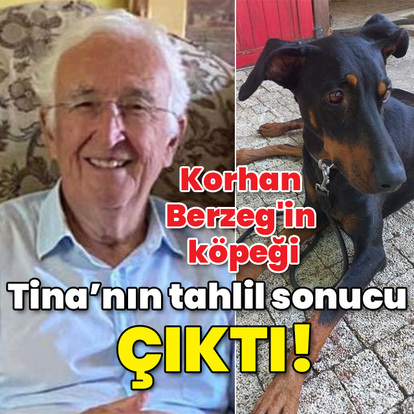 Korhan Berzeg'in köpeği Tina'nın tahlil sonucu çıktı!