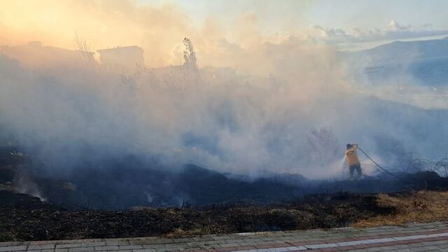 Bandırma'da 80 dönüm zarar gördü