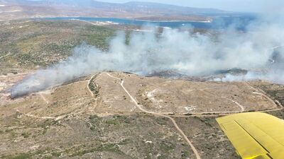 İzmir'de ikinci orman yangını!