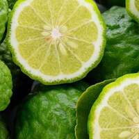 Bergamot fidanı ne zaman dikilir?