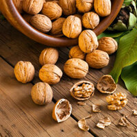 Ceviz yetiştiriciliği ve püf noktaları