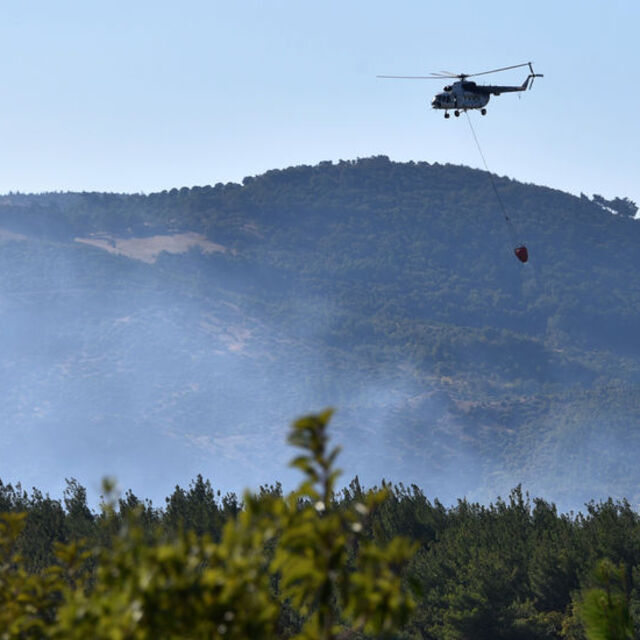 Manisa'daki orman yangını kontrol altında