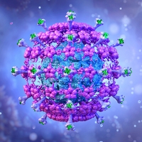 Covid-19'un iki yeni varyantı kapanma riski yaratmasa da...