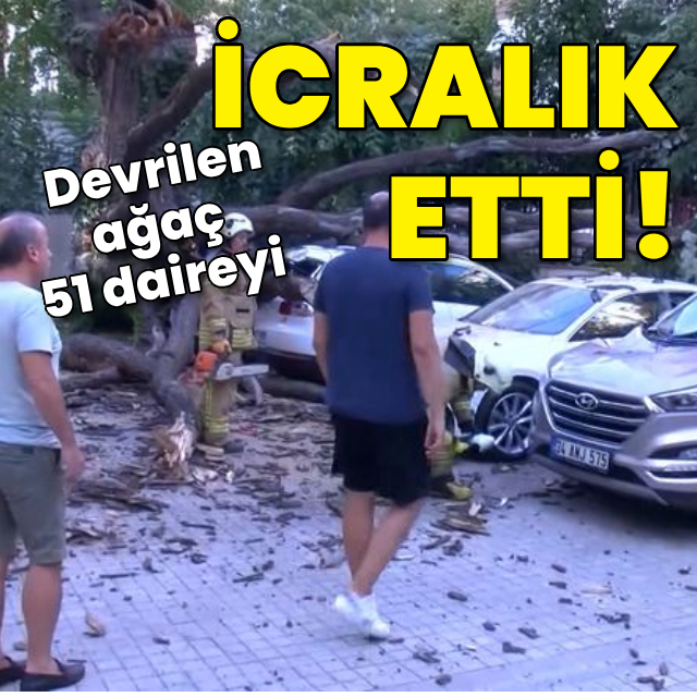 Aracın üstüne devrilen ağaç 51 daireyi icralık etti