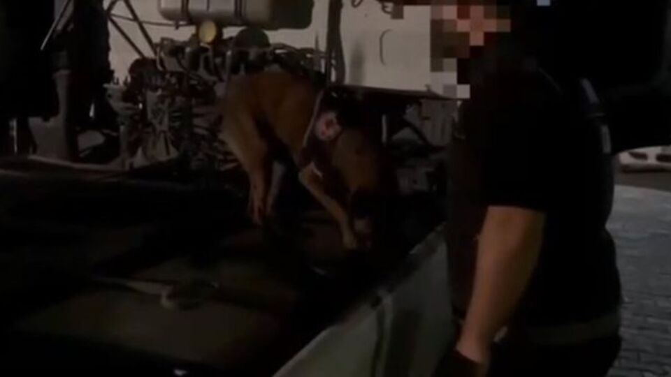 İzmir'de uyuşturucu operasyonu