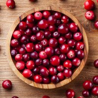 Kızılcık yetiştiriciliği ve püf noktaları