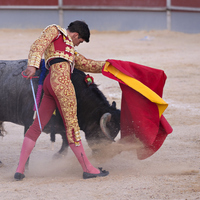 Boğalar neden kırmızı renge saldırır?