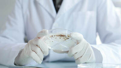 Alarko'dan tohum hamlesi