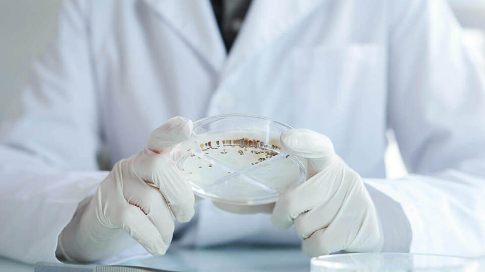 Alarko'dan tohum hamlesi