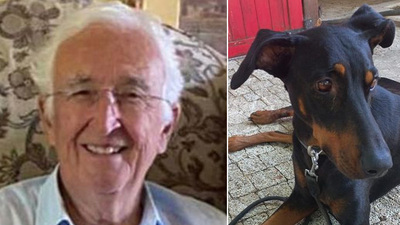 Kayıp ekonomist Korhan Berzeg ile ilgili yeni gelişme!