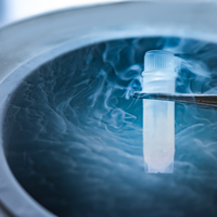 Azot nedir, nerelerde kullanılır?