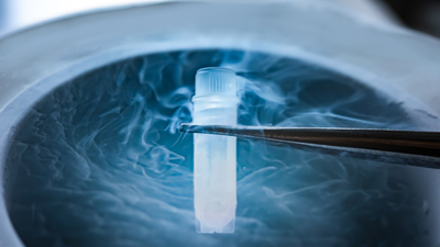 Azot nedir, nerelerde kullanılır?