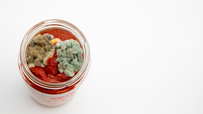 Küflü gıdalar: Tüketilebilir mi?