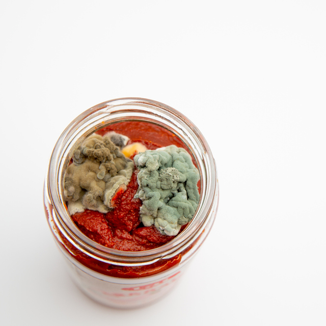 Küflü gıdalar: Tüketilebilir mi?