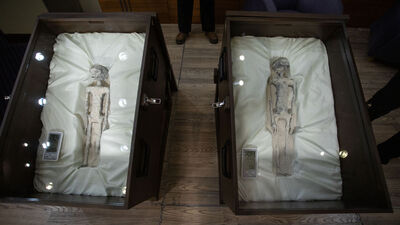 'Uzaylı fosili' iddiasına NASA'dan yanıt